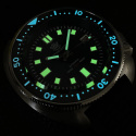Steeldive SD-1970 GREEN TURTLE | AUTOMATIC NH35 20ATM SAPPHIRE