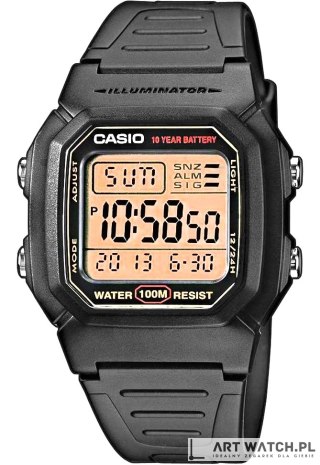 Zegarek Męski CASIO W-800HG-9AVDF + BOX