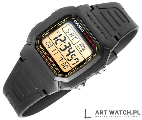 Zegarek Męski CASIO W-800HG-9AVDF + BOX