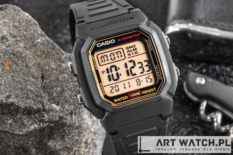 Zegarek Męski CASIO W-800HG-9AVDF + BOX