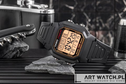 Zegarek Męski CASIO W-800HG-9AVDF + BOX