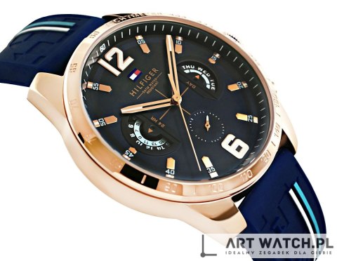 Zegarek Męski Tommy Hilfiger Decker 1791474