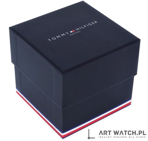 Zegarek Męski Tommy Hilfiger Decker 1791474