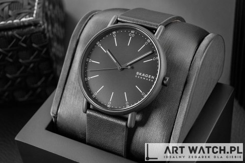 Zegarek Męski SKAGEN Signatur SKW6902 + BOX