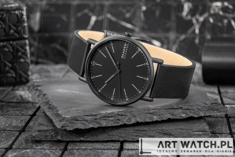 Zegarek Męski SKAGEN Signatur SKW6902 + BOX