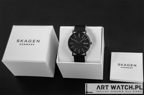 Zegarek Męski SKAGEN Signatur SKW6902 + BOX