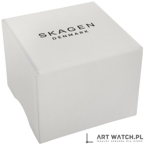 Zegarek Męski SKAGEN Signatur SKW6902 + BOX
