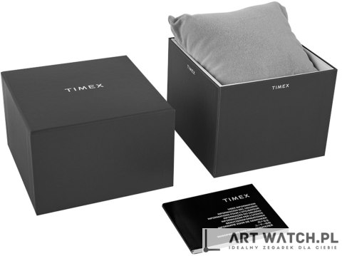 Zegarek Męski TIMEX Harborside Coast TW2W62700 + BOX