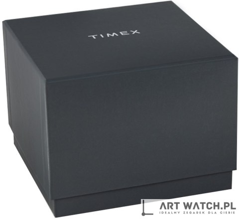Zegarek Męski TIMEX Q Reissue TW2U61700 + BOX
