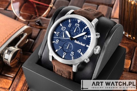 Zegarek Męski TIMBERLAND Driscoll TDWGF0040702 + BOX