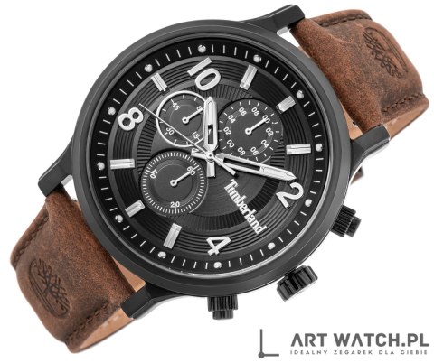 Zegarek Męski TIMBERLAND Driscoll TDWGF0055701 + BOX