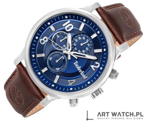 Zegarek Męski TIMBERLAND Driscoll TDWGF0055702 + BOX
