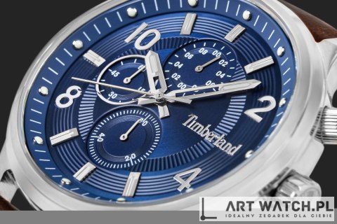 Zegarek Męski TIMBERLAND Driscoll TDWGF0055702 + BOX