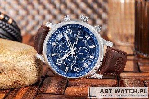 Zegarek Męski TIMBERLAND Driscoll TDWGF0055702 + BOX