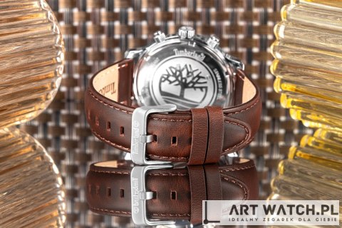 Zegarek Męski TIMBERLAND Driscoll TDWGF0055702 + BOX